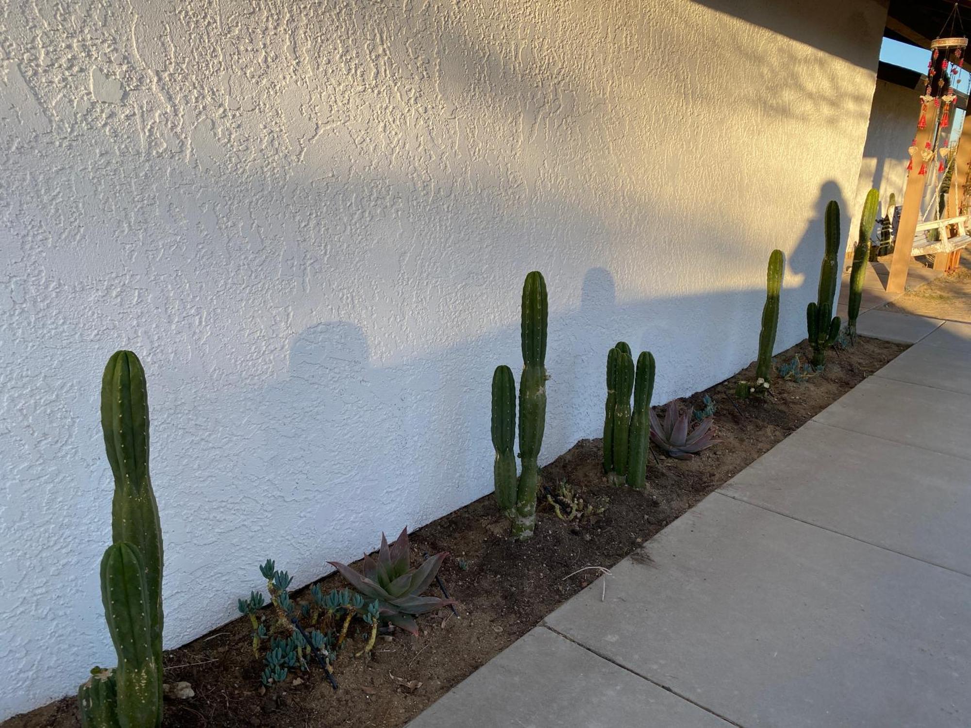 Villa Electroliquid'S Casa Pueblo Joshua Tree Exterior foto